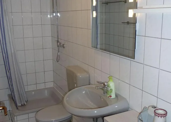 Mit Hund By Interhome 公寓