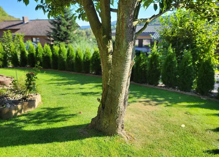 Mit Hund By Interhome 公寓